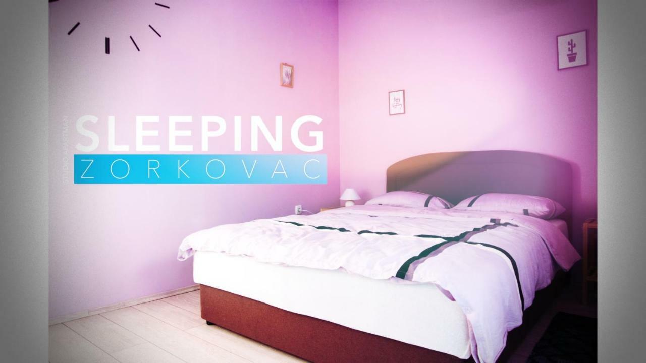 Appartement Studio Apartman Zorkovac à Ozalj Extérieur photo